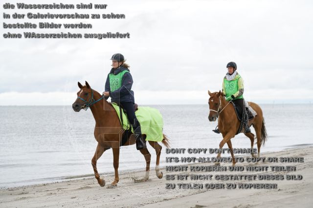 s_K3F04720.JPG